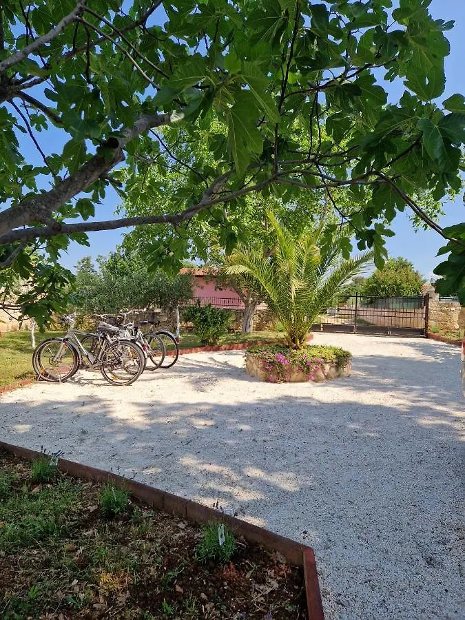 House Maslina Villa Rovinj Holiday home